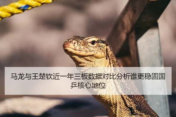 马龙与王楚钦近一年三板数据对比分析谁更稳固国乒核心地位