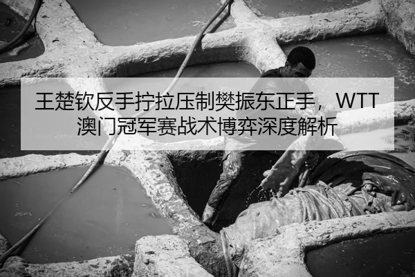 王楚钦反手拧拉压制樊振东正手，WTT澳门冠军赛战术博弈深度解析